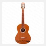 گیتار کلاسیک پارسی M5