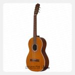 گیتار کلاسیک پارسی M5 - تصویر 2