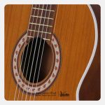 گیتار کلاسیک پارسی M5 - تصویر 5