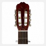 گیتار کلاسیک والریا 313 - تصویر 6
