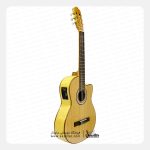 گیتار کلاسیک والریا 316 CW/F - تصویر 2
