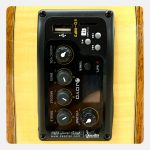 گیتار کلاسیک والریا 316 CW/F - تصویر 6