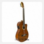 گیتار کلاسیک والریا 318 CW/P - تصویر 2