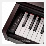 پیانو دیجیتال یاماها YDP-145 رزوود - تصویر 5