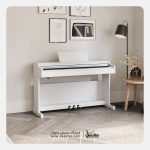 پیانو دیجیتال یاماها YDP-145 سفید - تصویر 8
