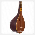 سه تار داوود یک مهر ویژه - تصویر 3