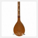 سه تار همایون ویژه - تصویر 4