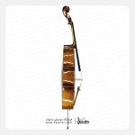 ویولنسل رومنس RS20 - تصویر 2